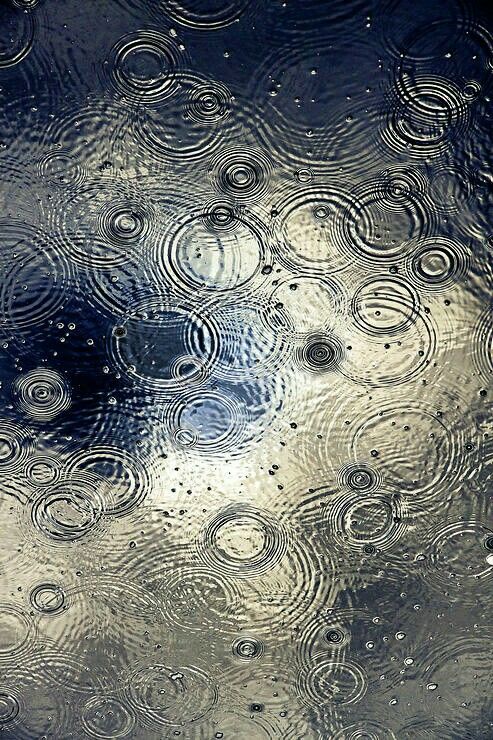 d9e8a1e24951820f786dff0a81b5c2b7