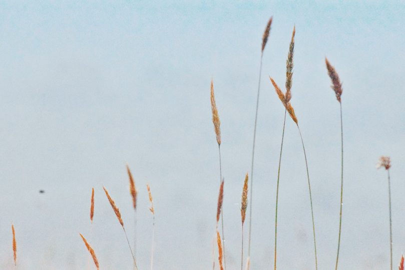 photo-1515561498465-5421f2822795