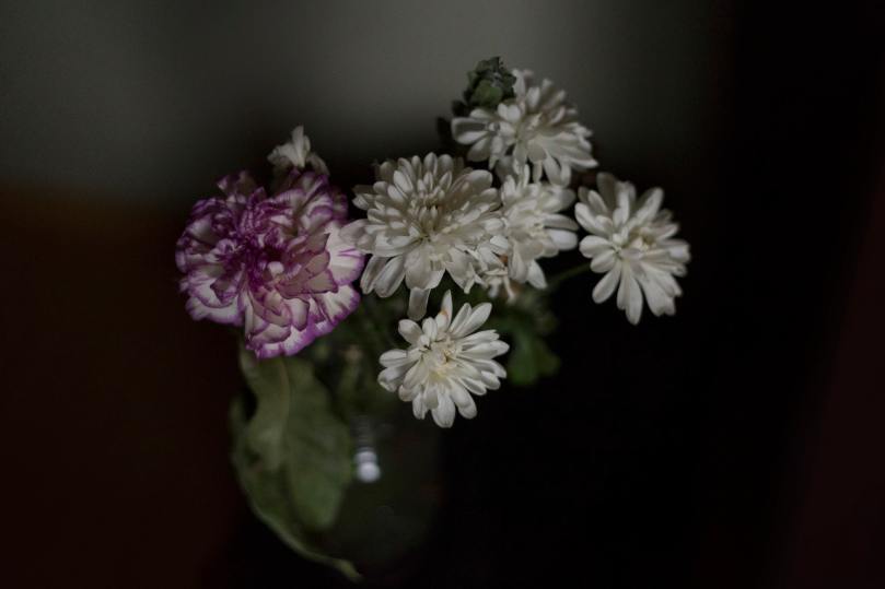 photo-1495045841167-6af3bc97aad1