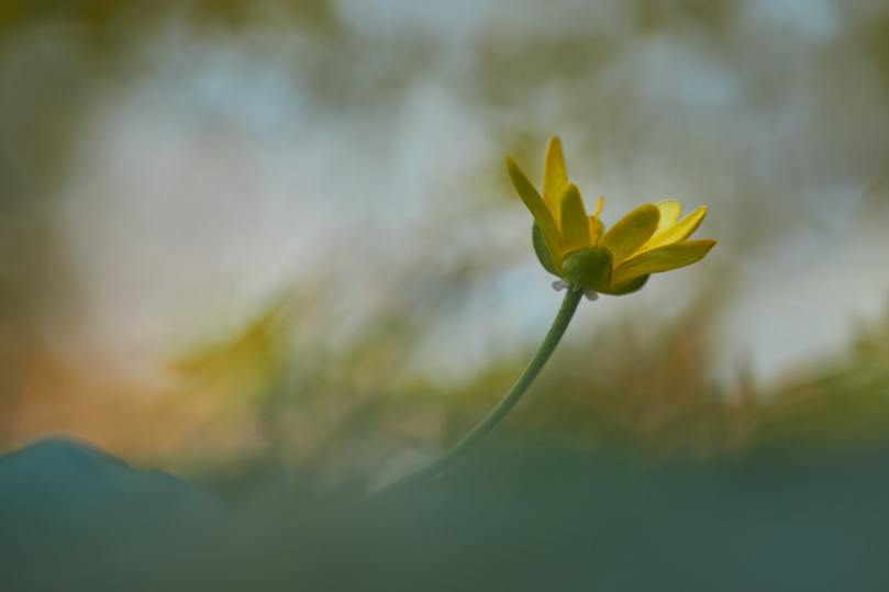 photo-1585812356477-a74f4bd2f8d0